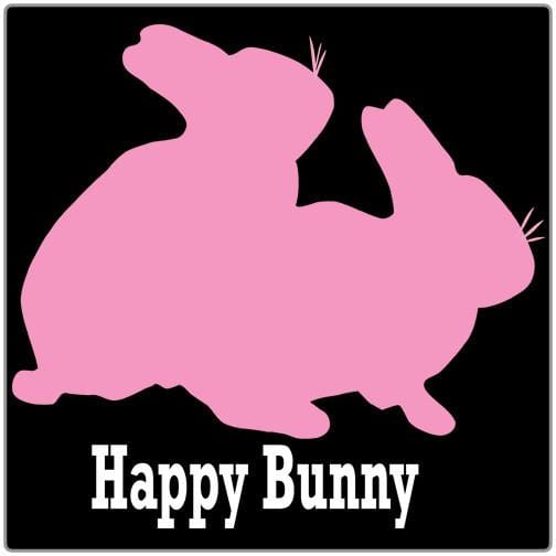 Happy Bunny - T-shirt